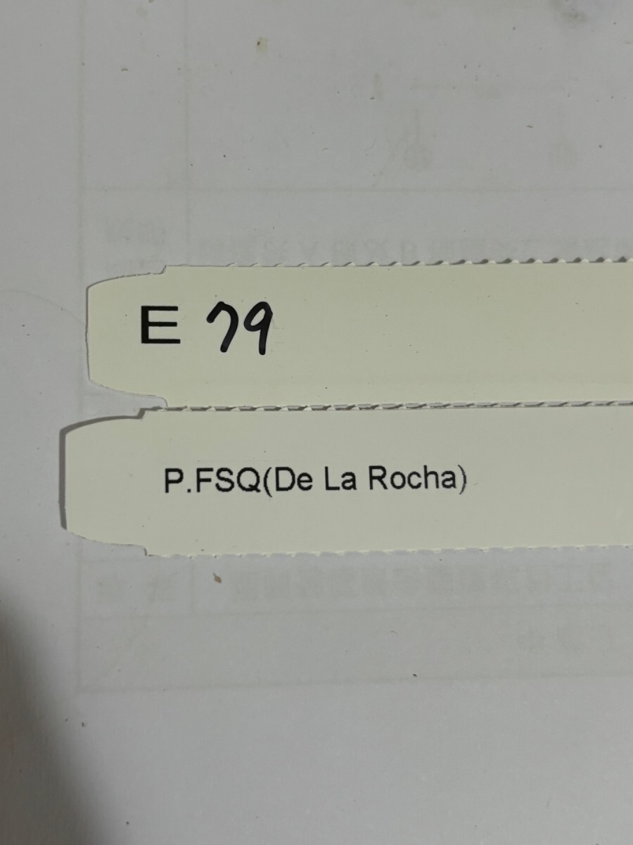 E79、P. FSQ (De la Rocha) OC pup 子株 株分け の画像5