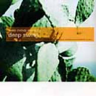 貴重廃盤 Deep Swing Sweet Melody Project 03　ジャズ、ソウル フレイヴァーを漂わせたスピリチュアルなサウンドを新旧問わず満載_画像1