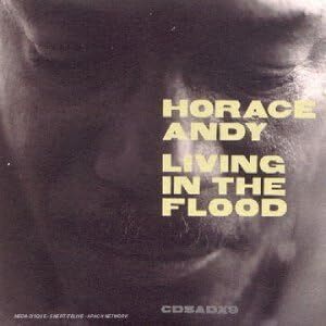 貴重廃盤 Horace Andy Living in the Flood ホレス・アンディ レゲエ界の重鎮 あのファルセットをたっぷりとお聴かせします。 _画像1