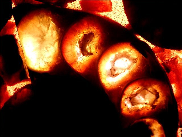 ★貴重－アンモナイト縫合線オパール化石標本179U3-76U356Dの画像6