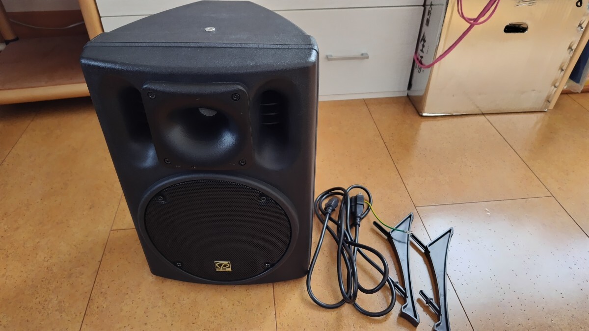 CLASSIC PRO CSP8P powered speaker 