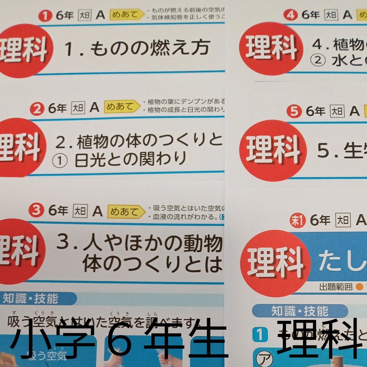 小学６年生　理科　大日本図書　光文書院　カラー　プリント　テスト　予習　復習　家庭学習　対策