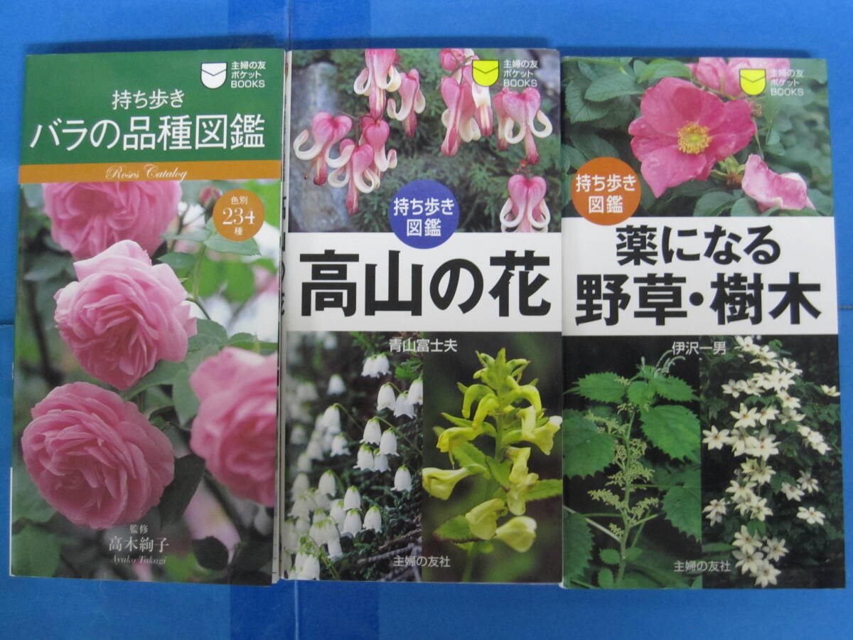... . pocket BOOKS keep .. plant illustrated reference book 3 pcs. set ( issue :... . company )