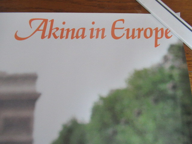  подлинная вещь Nakamori Akina Europe постер 59.5cm×84cmwa-na- Pioneer не продается 