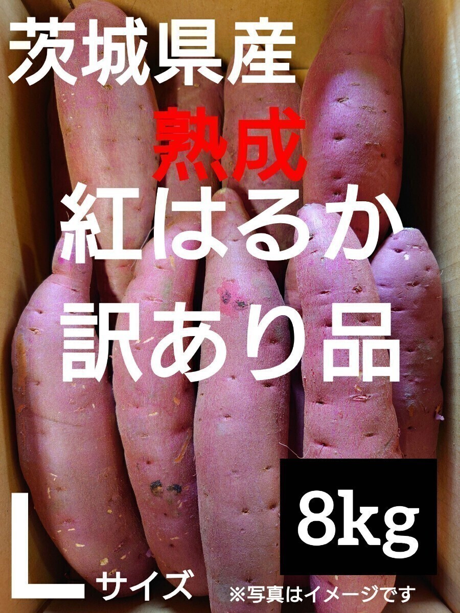 茨城県産熟成さつまいも人気品種《紅はるか》訳あり品Lサイズ（8kg）送料無料（1）_画像1