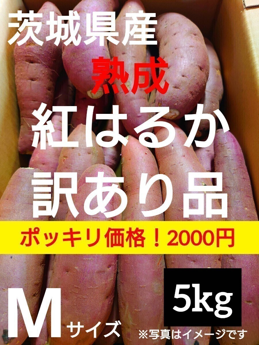 茨城県産熟成さつまいも人気品種《紅はるか》訳あり品Mサイズ（5kg）（5）_画像1