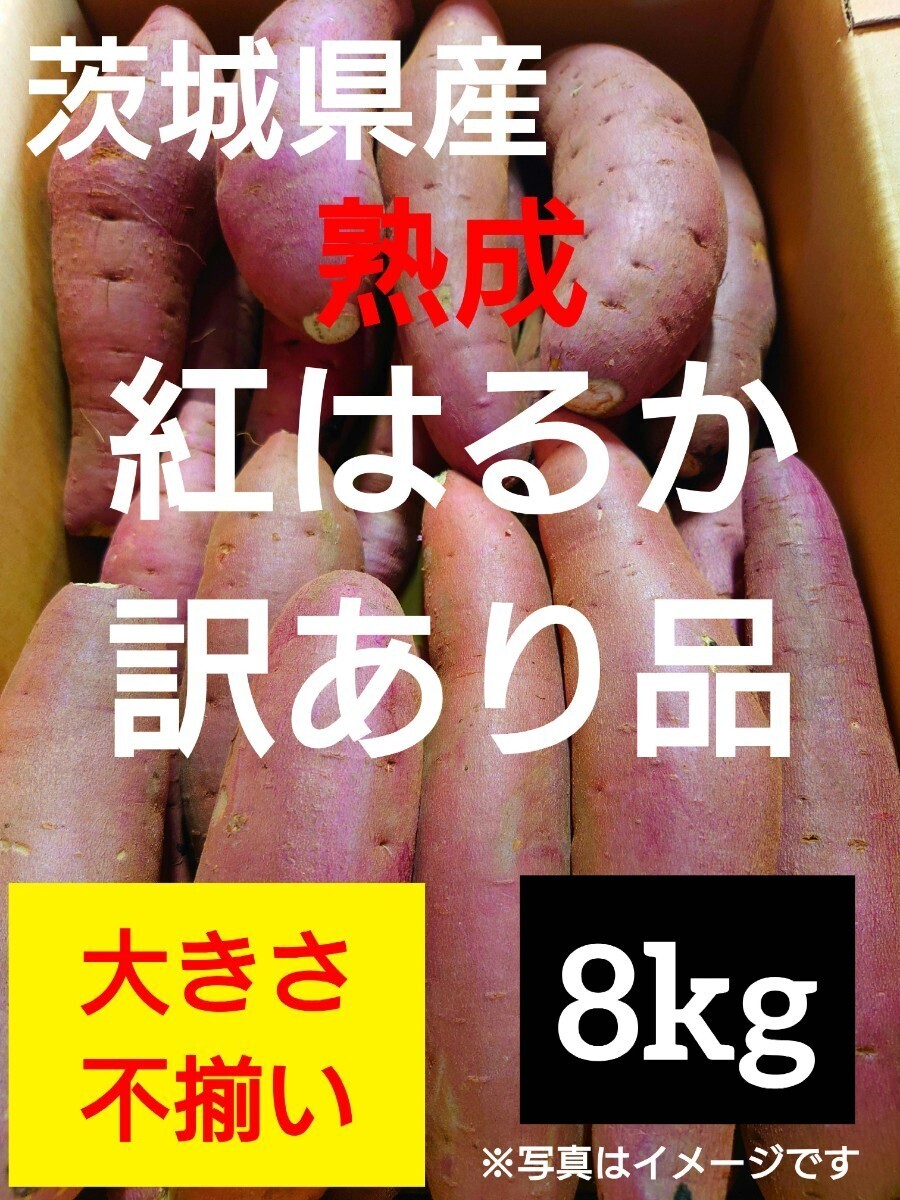 茨城県産熟成さつまいも人気品種《紅はるか》訳あり品サイズ不揃い（8kg）（2）の画像1