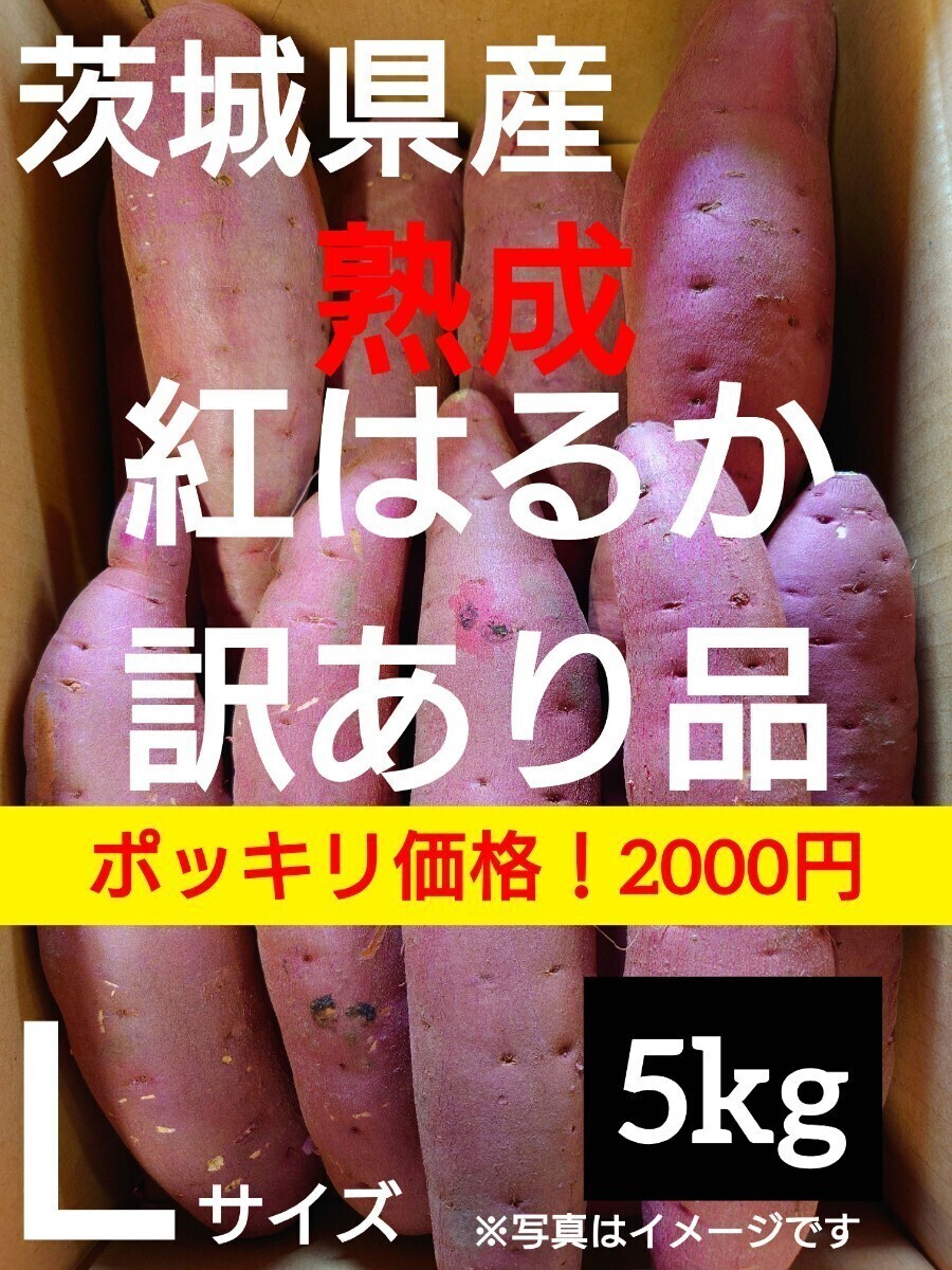 茨城県産熟成さつまいも人気品種《紅はるか》訳あり品Lサイズ（5kg）送料無料_画像1
