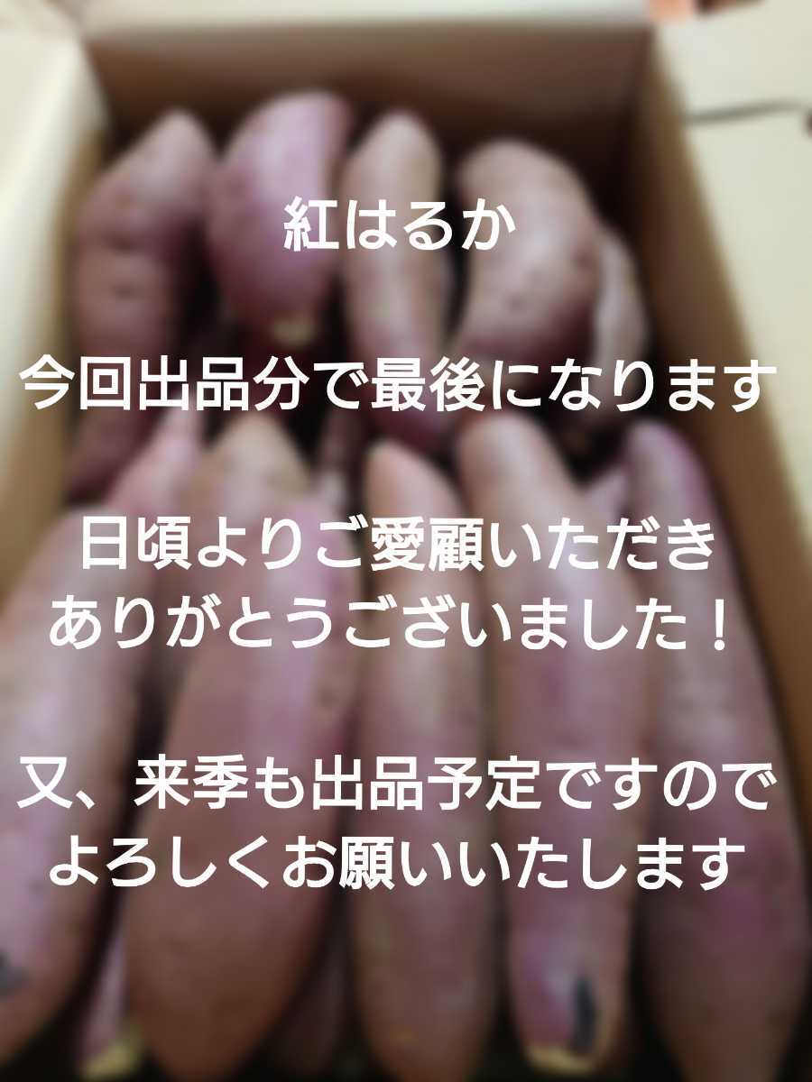 茨城県産熟成さつまいも人気品種《紅はるか》A等級品Mサイズ（5kg）送料無料（2）の画像2