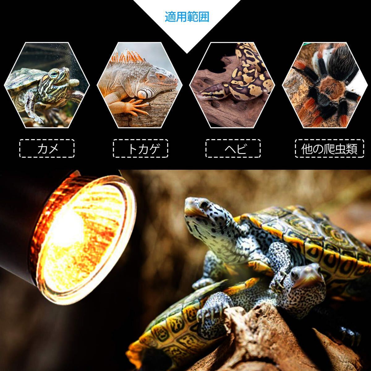 両生類用ライト 爬虫類ライト25W+50Wアナログ太陽 CHAUYI 熱帯・亜熱帯 UVA+UVBライト バスキングライト2つランプ付き_画像6