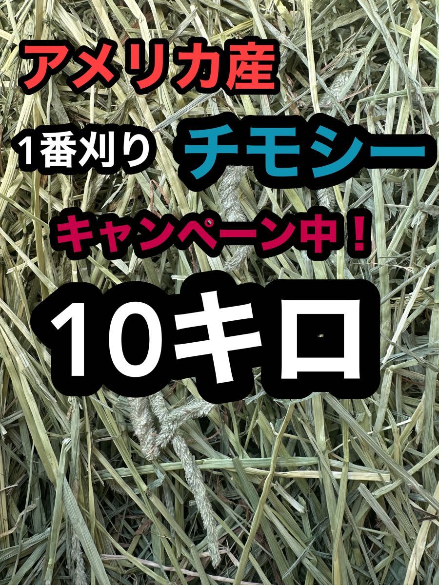 チモシー10キロ　ウサギ モルモット　デグー チンチラ １番刈