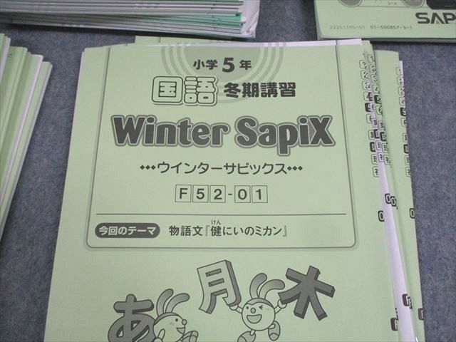 WG11-154 SAPIX 小5 国語 デイリー/スプリング/サマー/ウインターサピックス 2022年度版 通年セット 計91冊 ★ 00L2D_画像6