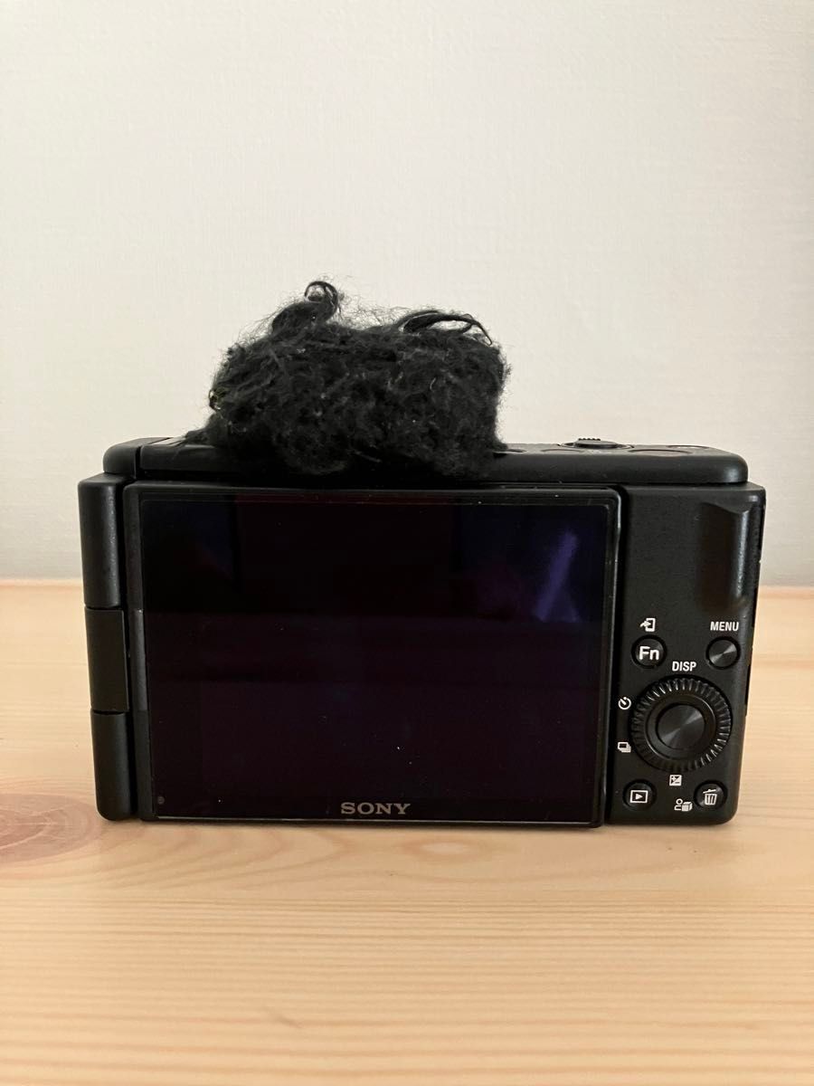 SONY  VLOGCAM ZV-1F