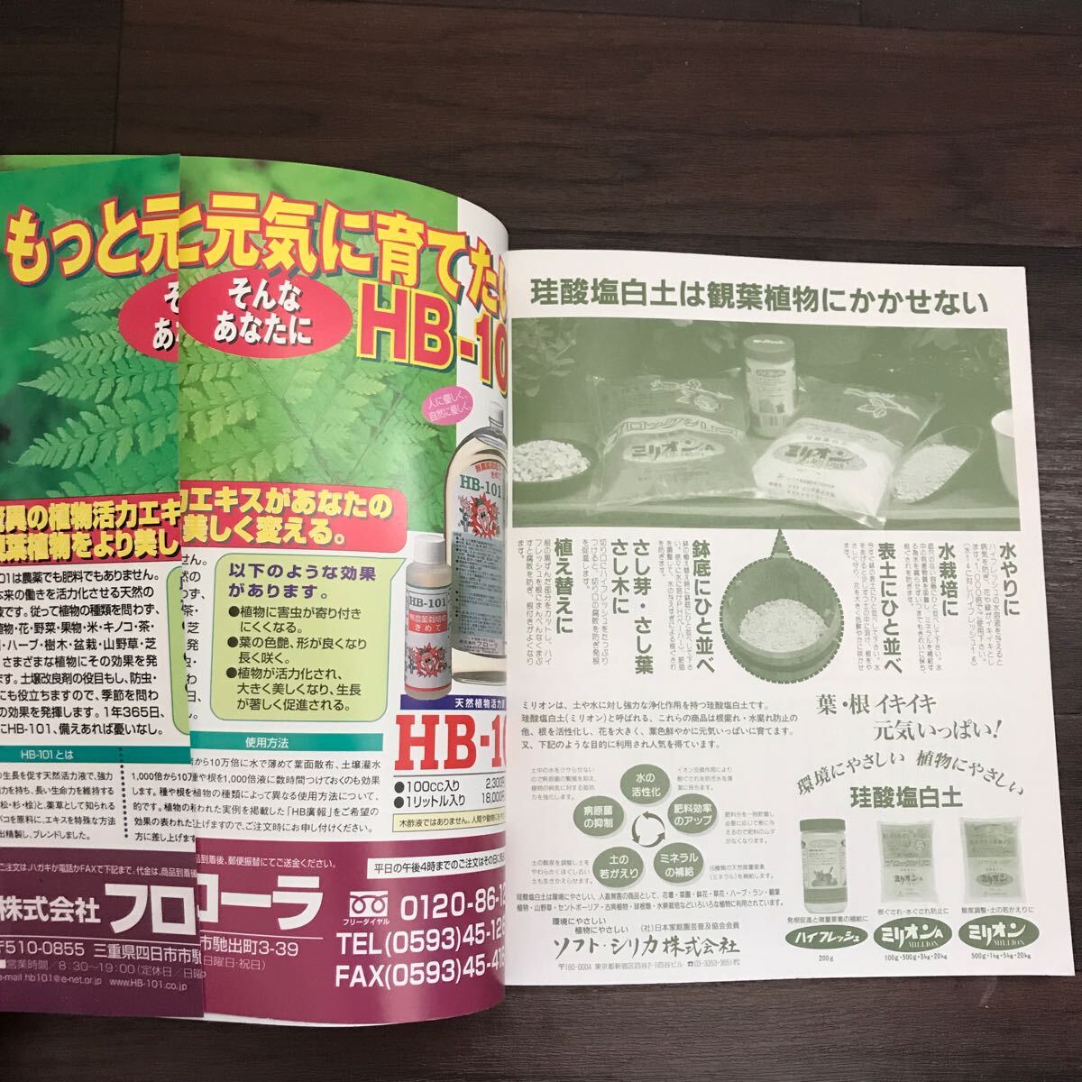 【中古】こんなときどうしたら？ はじめての観葉植物Q&A_画像6