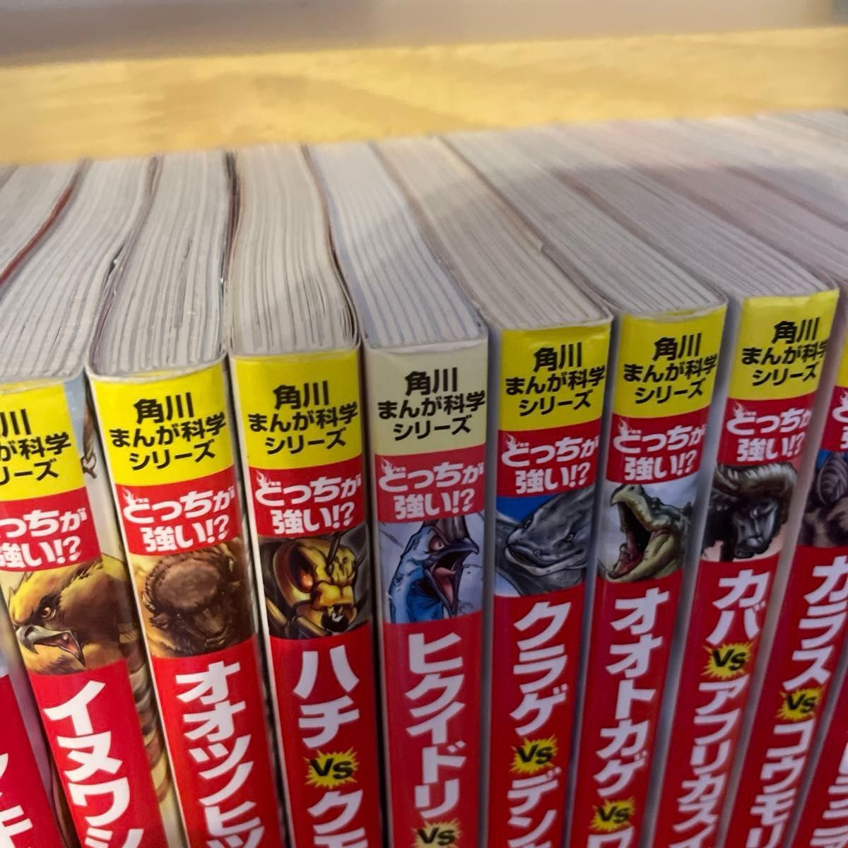 角川まんが科学シリーズどっちが強い！？自由研究動物21巻セット