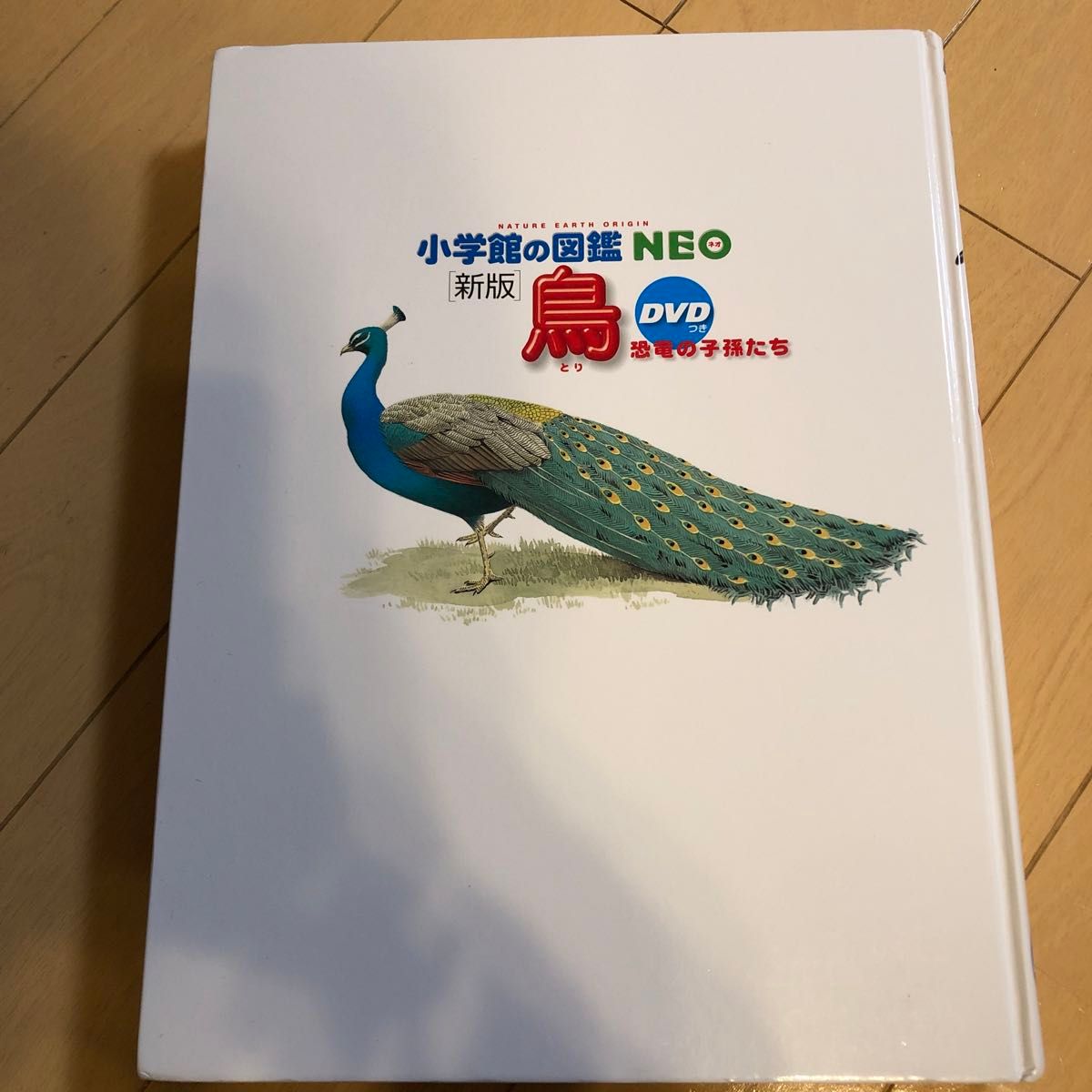 小学館の図鑑NEO 新版　鳥　DVDつき　とり　ドラえもん　ずかん　中古　知育　恐竜の子孫たち　カバーなし