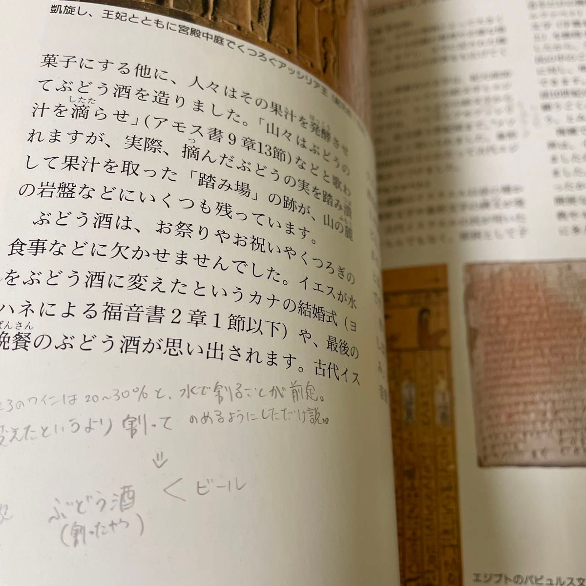 目で見る聖書の時代 月本昭男／著　横山匡／写真