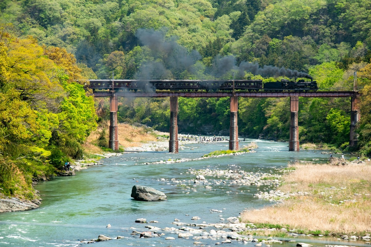 鉄道 デジ 写真 画像 秩父鉄道 SLパレオエクスプレス 旧型客車特別運行 6_画像1