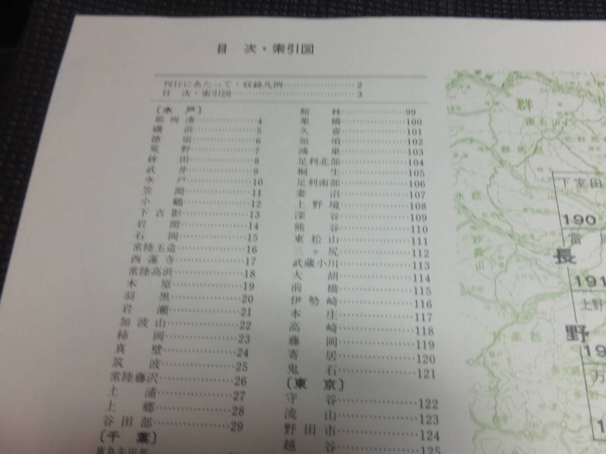 定価15万円！巨大古地図帖！明治前期！関東平野地誌図集成！柏書房！明治時代銅版画古地図多数！ 検江戸切絵図和本古文書木版画古写真戦前の画像4