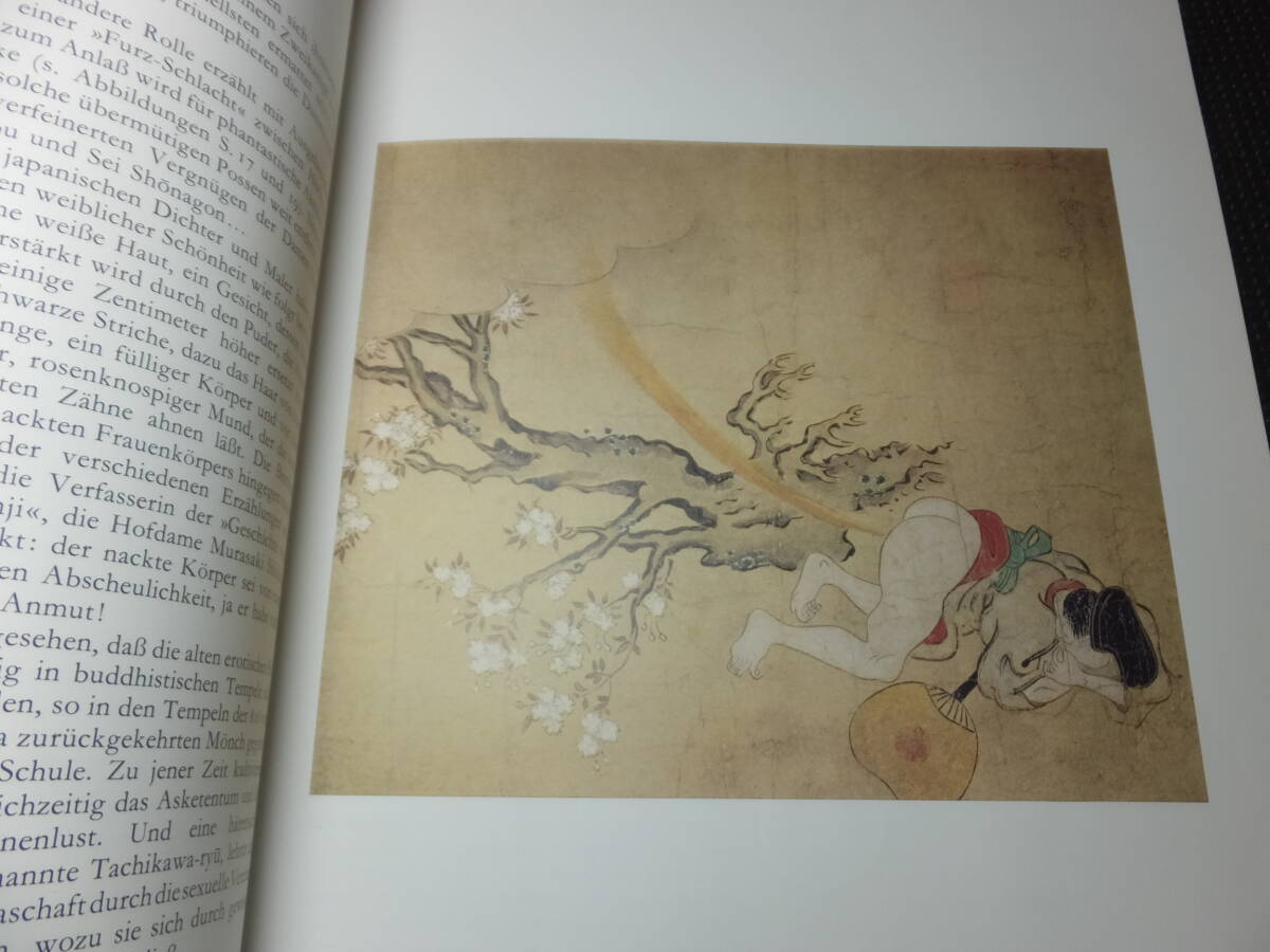 大型洋書図録！春画！多数掲載！ドイツ語！葛飾北斎！歌麿他！             検暁斎和本古文書春本遊郭遊女地下本浮世絵国芳年の画像7