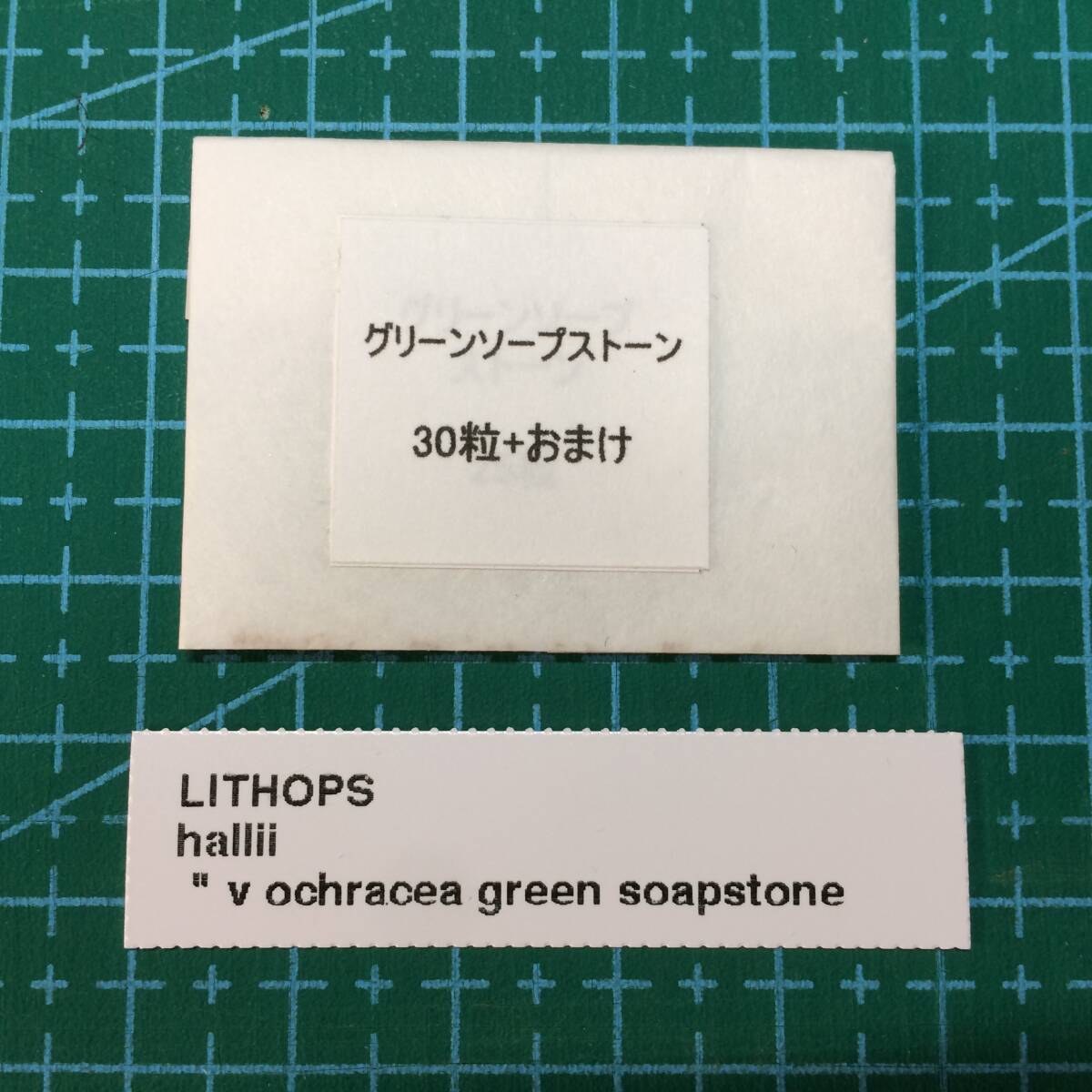 リトープス グリーンソープストーン 種子 30粒 多肉植物 メセン タネ 種_画像2