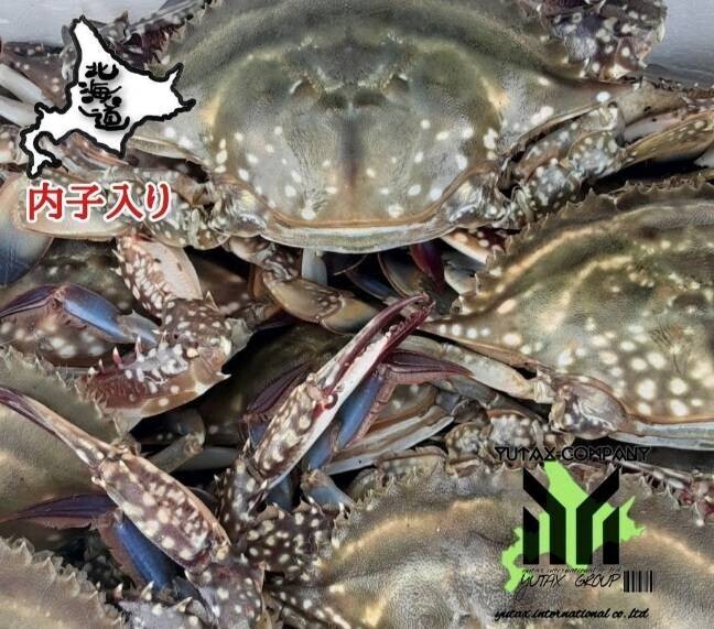 北海道産　ワタリガニ　メス内子入り　2㎏、_画像1