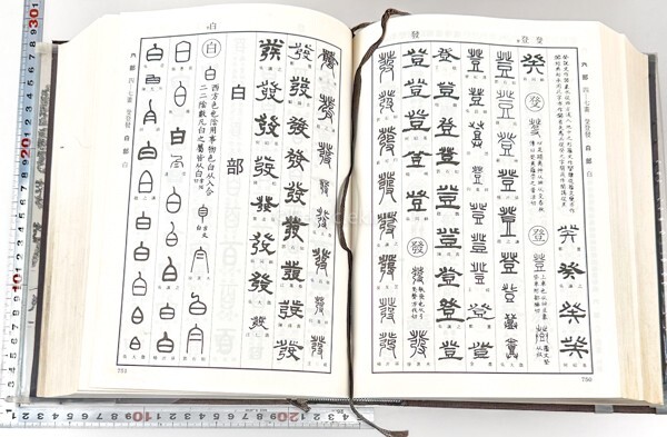 ☆ 篆隷字典/篆書/大字源/清人/朝陽 6冊 辞書 中国 書道 資料 研究 書籍 古書 古本 20240428-5_画像3