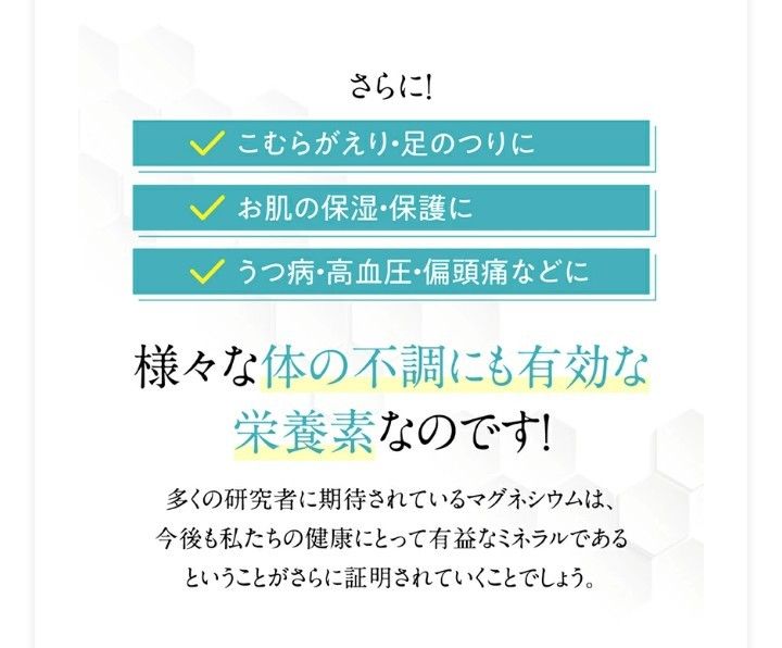 【超吸収マグネシウム】マグリポ Mag-Lipo 1箱 (30包)【複数割有り】