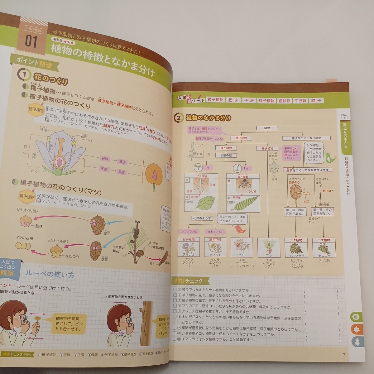 zaa-565♪シグマベスト 今日からスタート高校入試数学/英語/理科/社会 - 中学３年間の総復習 4冊セット 文英堂（2021/07発売）