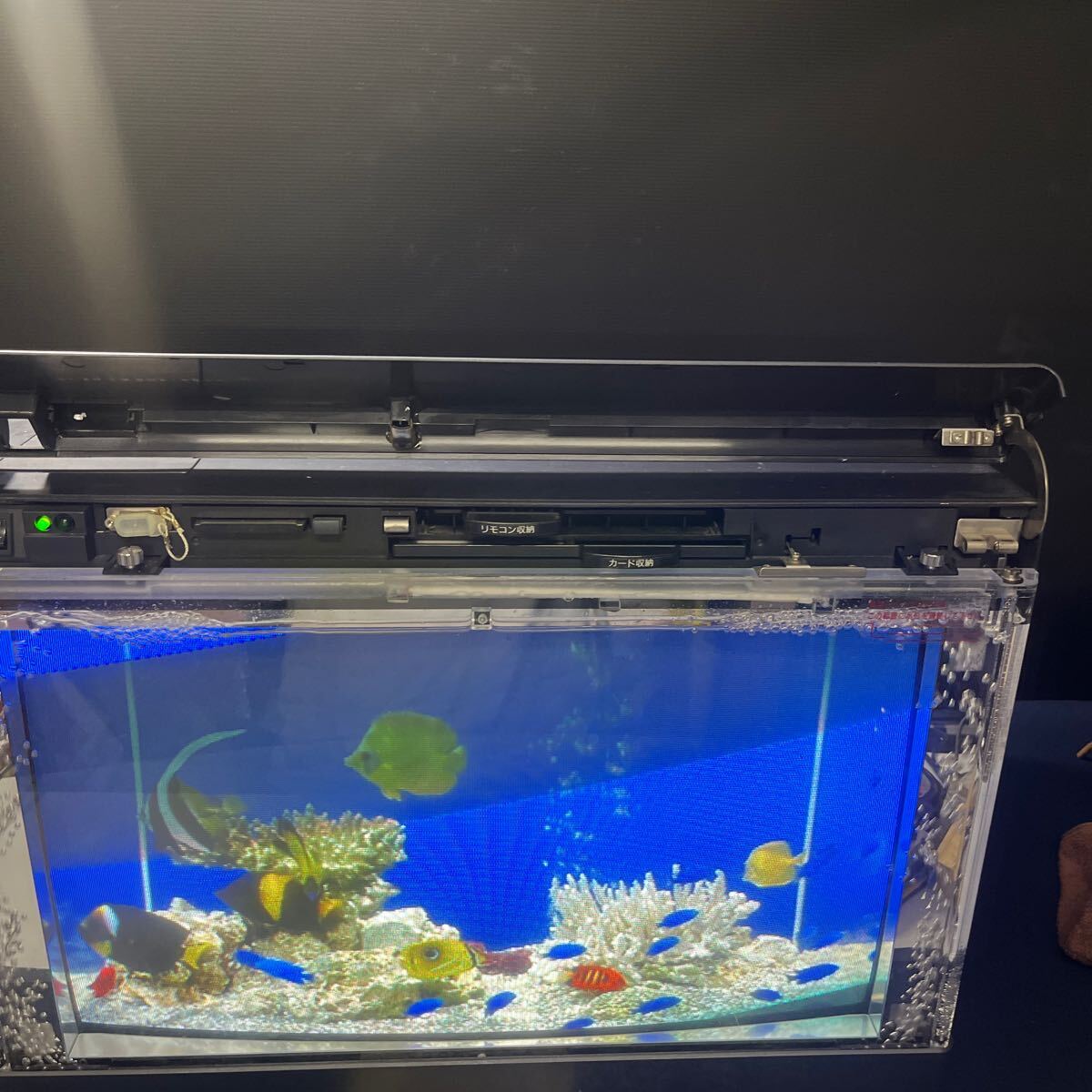 Yahoo!オークション - 魚八景ジュニア NEC SJ1010-02 カード4枚 Yahoo!オークション - 魚八景ジュニア NEC SJ1010-02 カード4枚