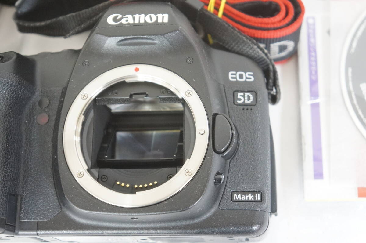 Canon キャノン 7D 7D MarkⅡ 5D 5D MarkⅡ ボディ デジタル一眼レフ デジタルカメラ 6点 まとめてセット 7004118011の画像7