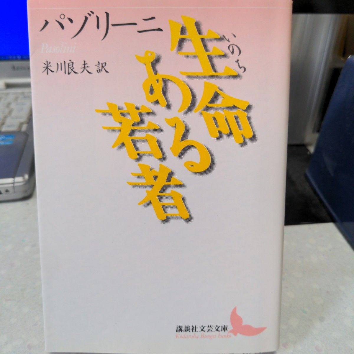 生命ある若者 パゾリーニ