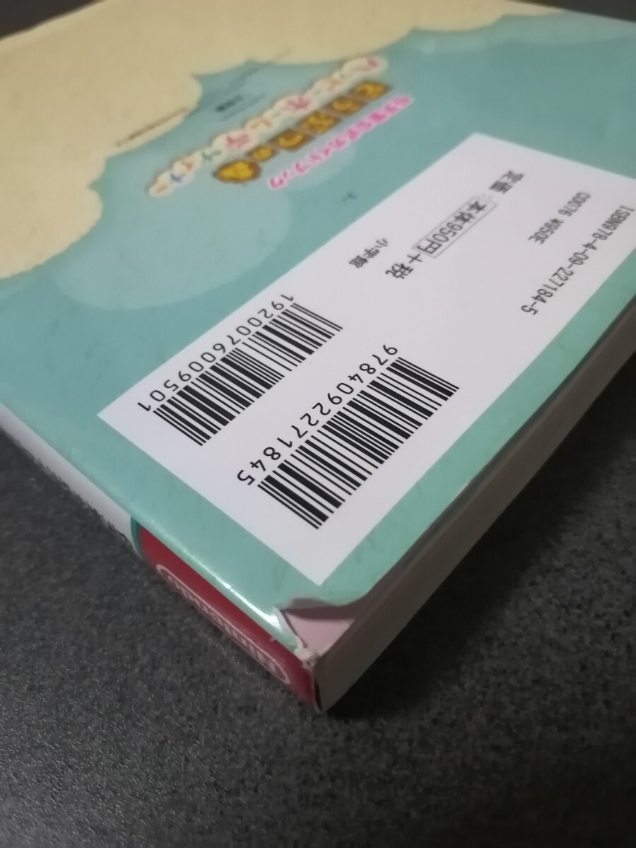 ★攻略本　どうぶつの森　ハッピーホームデザイナー　任天堂公式ガイドブック　即決_画像5