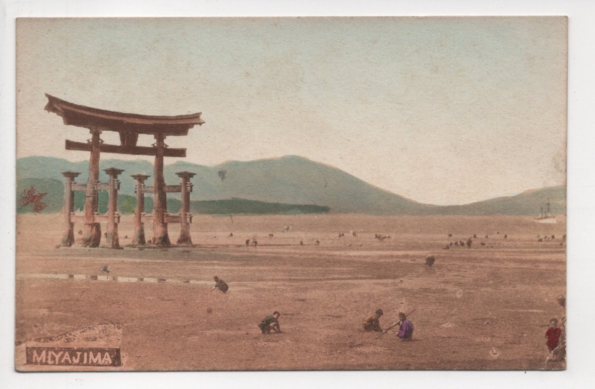  picture postcard hand coloring en tire Hiroshima . island large torii .... real photo real . Meiji 44 year 