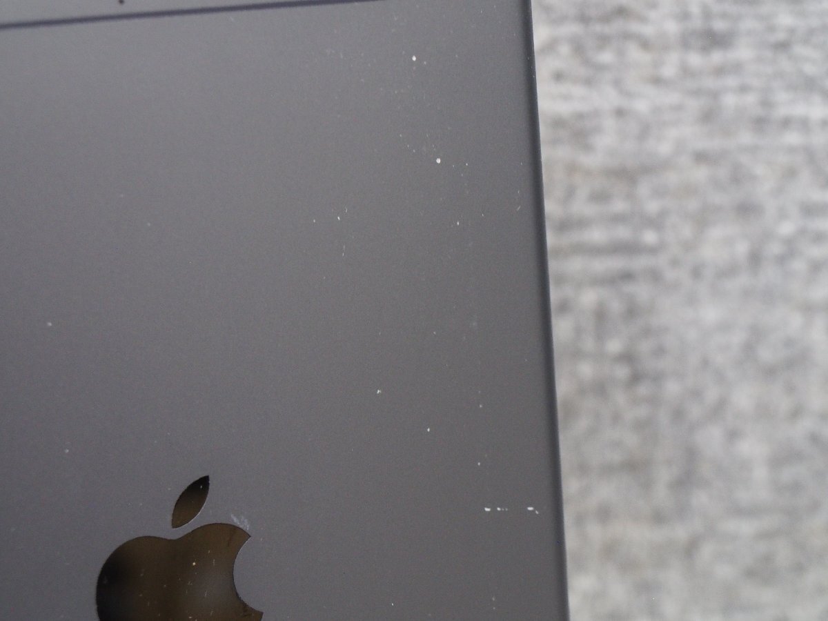 Apple iPad mini 第5世代 MUX52J/A A2124 64GB Wi-Fi ＋Cellular AU 中古品 D50401の画像4