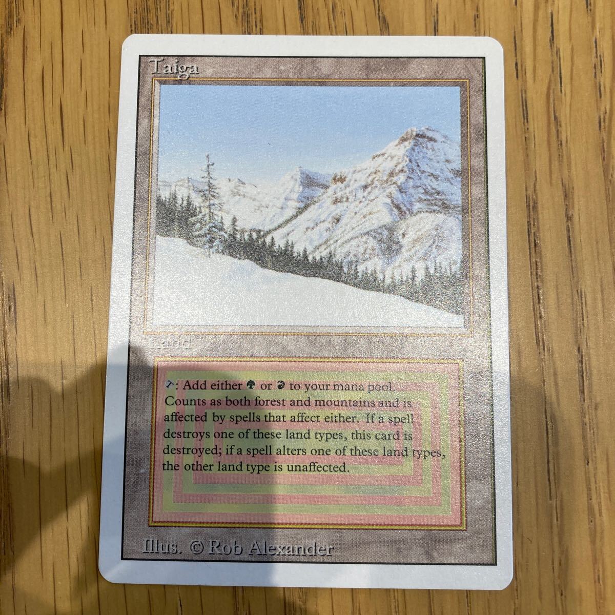 MTG Taiga 3ED 真贋鑑定サービス適用 - 土地 MTG Taiga 3ED 真贋鑑定サービス適用 - 土地