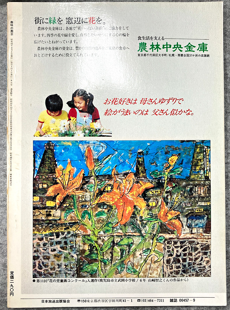 NHK 趣味の園芸 昭和55年 9月 木立ち性ベゴニア ガーデニング 盆栽 花壇 菜園_画像4