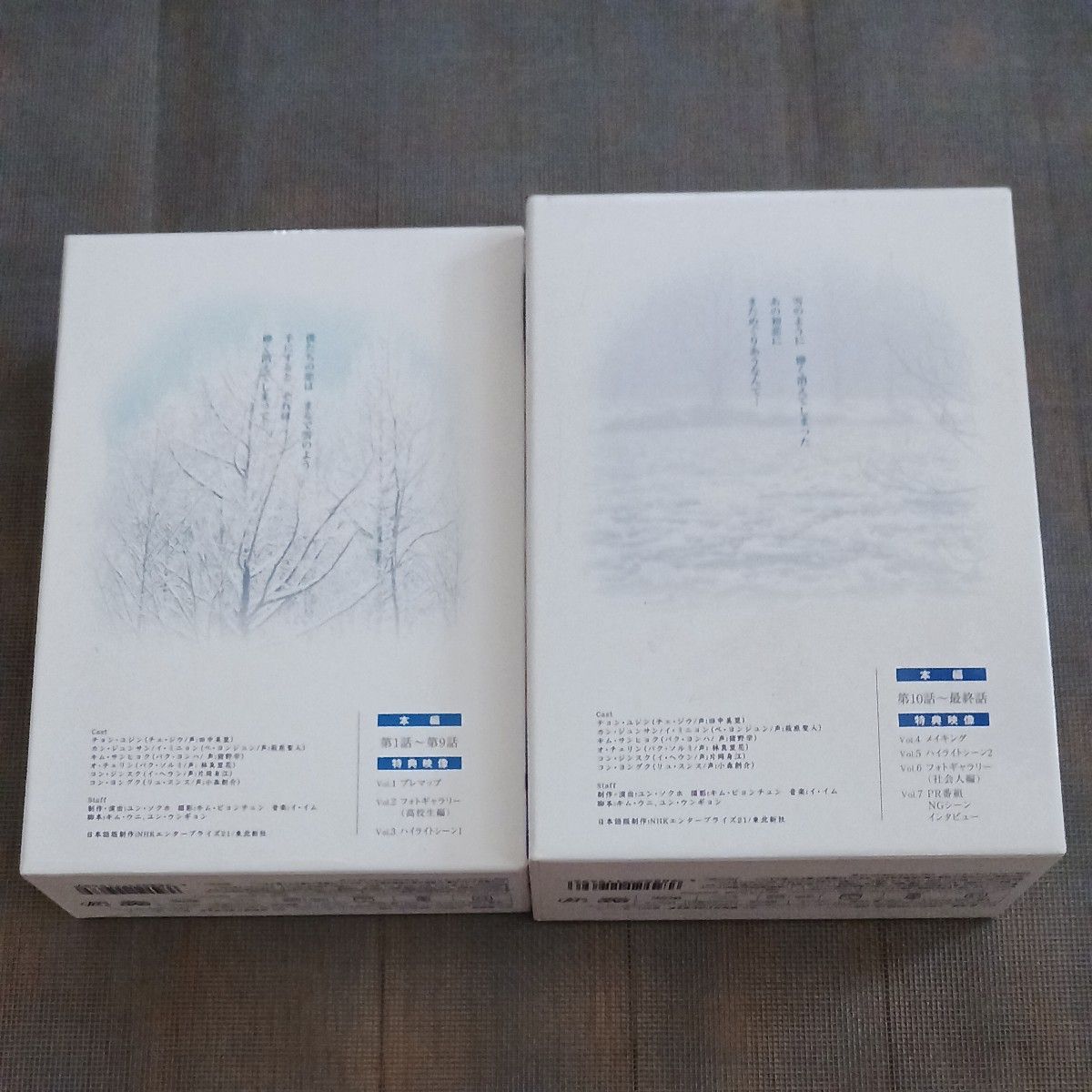 冬のソナタ DVD-BOX vol.1 vol.2 全巻　セット