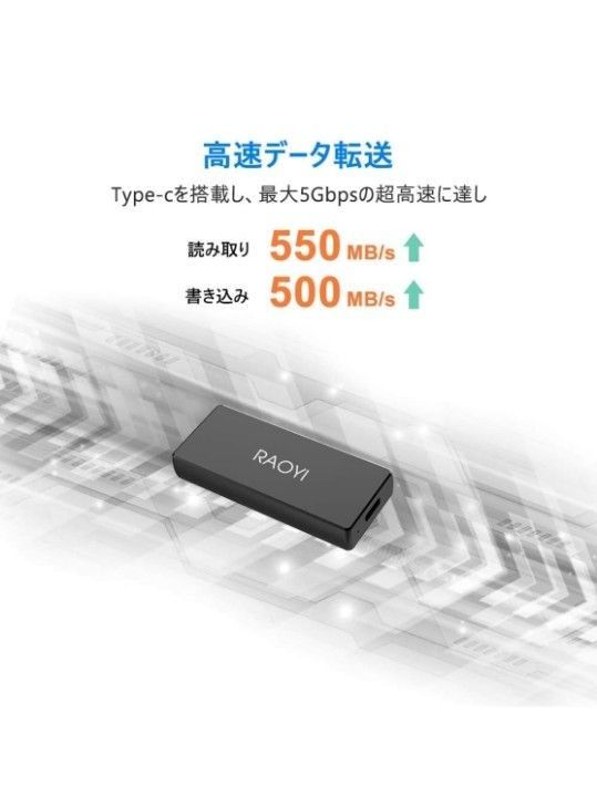 【限定値下げ】RAOYI 外付けSSD 250GB USB3.1 Gen2 ミニSSD ポータブルSSD Type-C