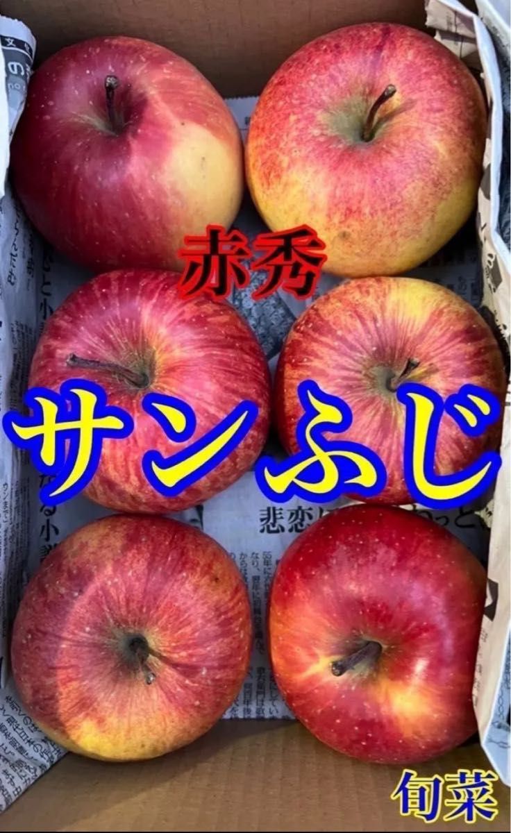 りんご  サンフジ  正規品  6玉