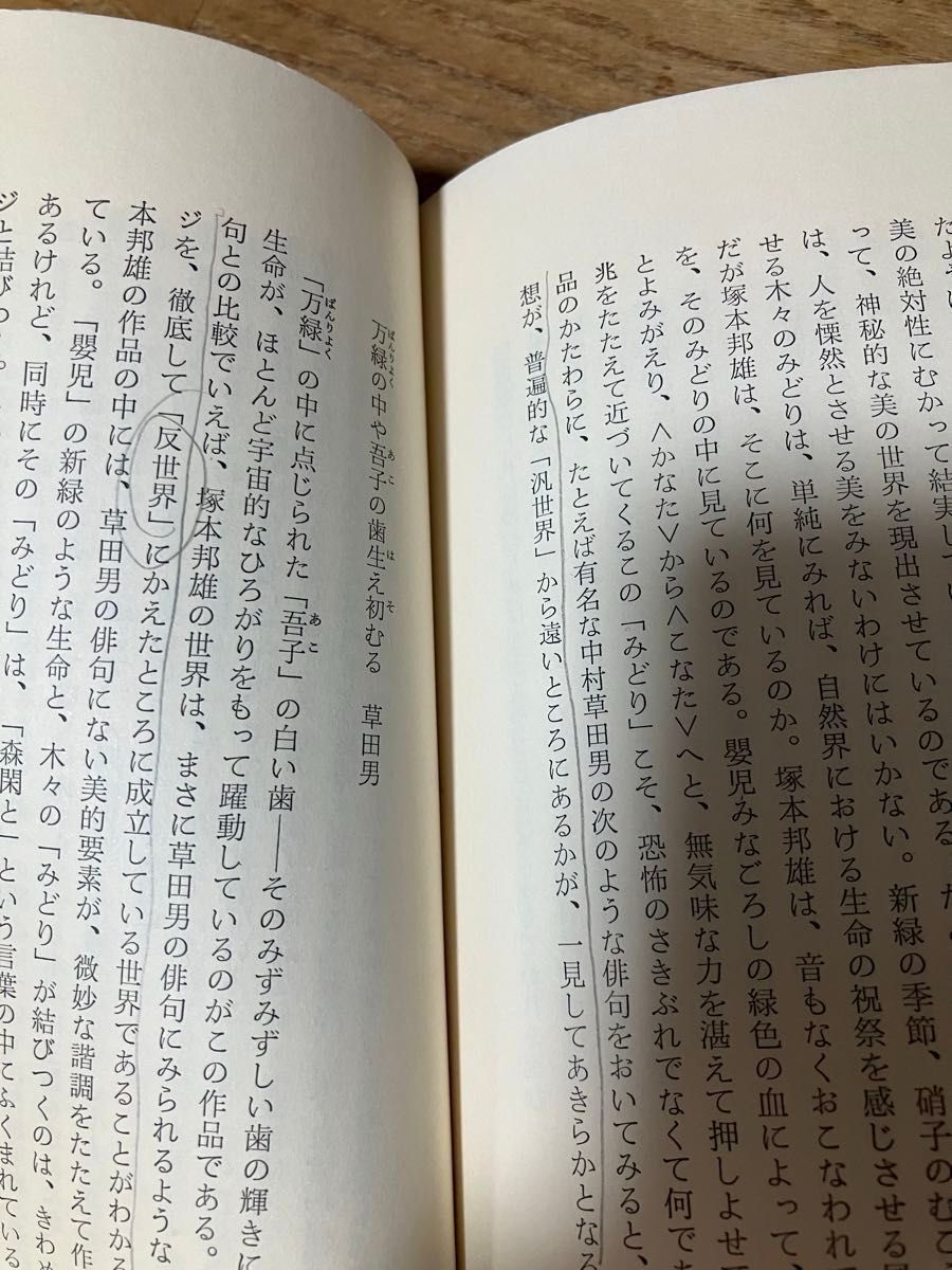 現代歌人文庫26　歌のありか　菱川善夫　国文社　1980