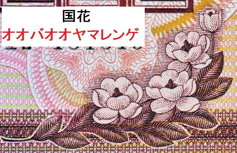 謎解明★北朝鮮★国債★債券★信用券★２００３年★１００００ｗ★利率４％★未使用★蛍光印刷有★匿名配送も可_画像3