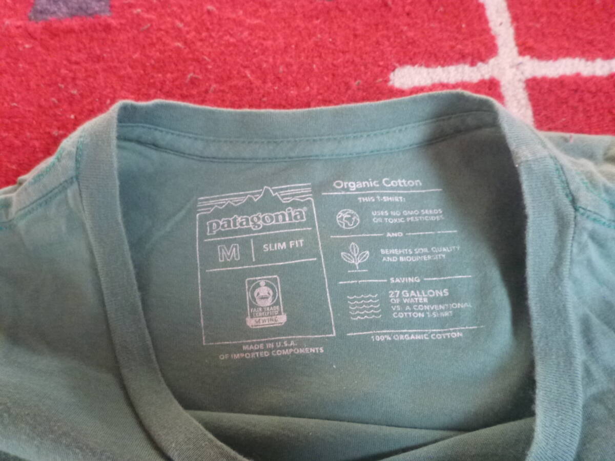Patagonia　パタゴニア　Tシャツ　Mサイズ　フライングフィッシュ　薄緑_画像2