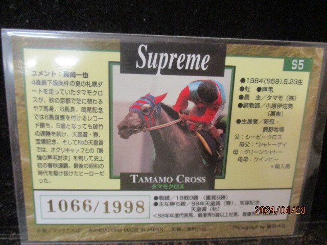 ★競馬カード タマモクロス　1998　バンダイ　サラブレッドカード　99年上半期　SUPREME S5 1066/1998　 即決!!_画像2