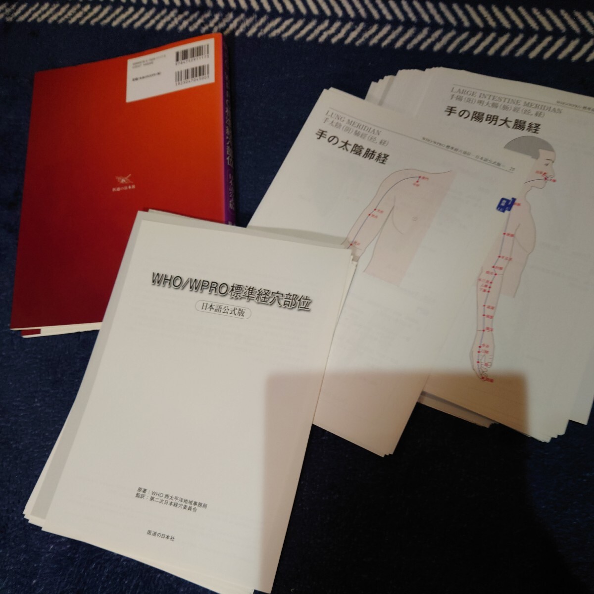 【裁断済】WHO/WPRO標準経穴部位 日本語公式版 初版 医道の日本 鍼灸 はり きゅうの画像2