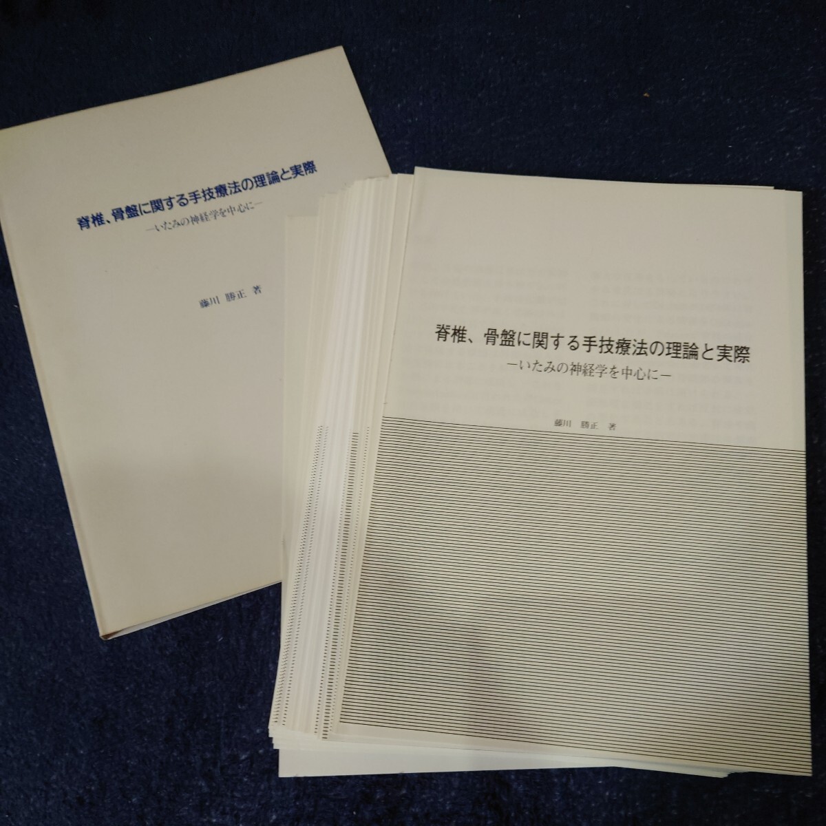 【裁断済】脊椎、骨盤に関する手技療法の理論と実際(カバー無し) 一般医学 柔道整復 理学療法の画像1