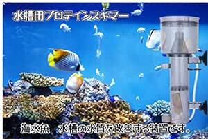 海水魚 生体 チャーム 海水 プロテインスキマー 水質改善 タンパク質 有機粒子 などを 泡 で除去します (23㎝ 小型の画像2