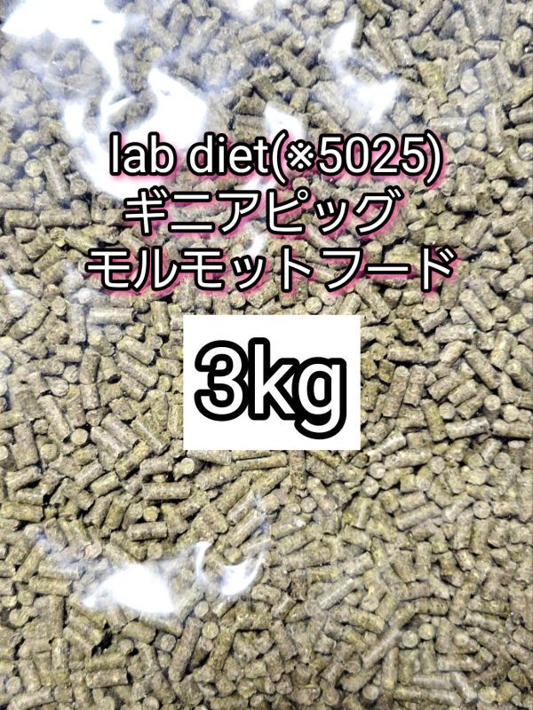 ギニアピッグ ラブダイエット 5025 モルモットフード 3kg lab diet デグー チンチラ モルモット 小動物_画像1