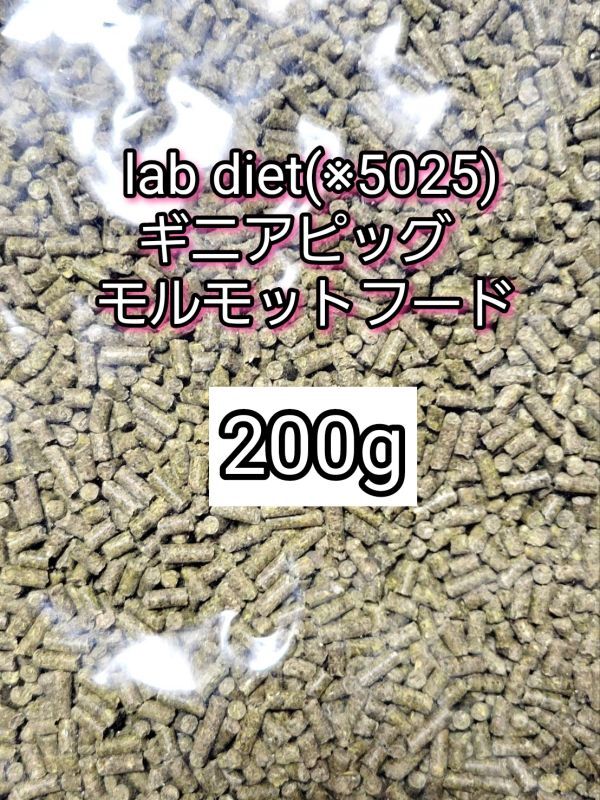 ギニアピッグ ラブダイエット 5025 モルモットフード 200g lab diet デグー チンチラ モルモット 小動物