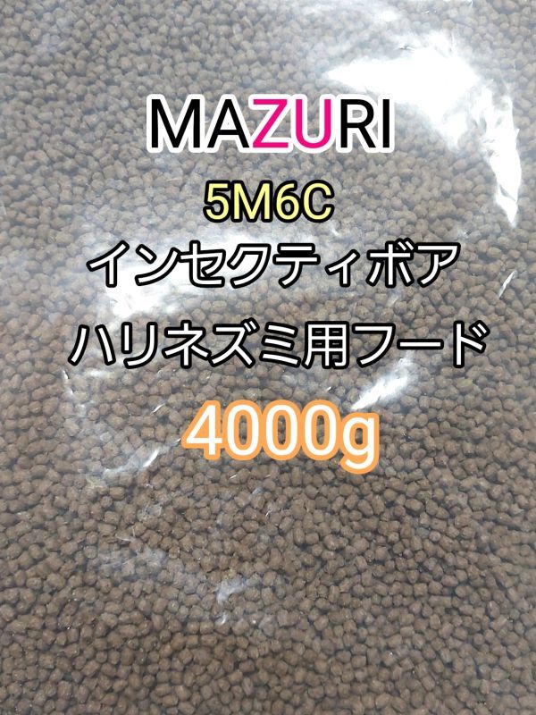 mazli5M6C еж капот 4000g in sekti боа диета f черный Momo nga мелкие животные 